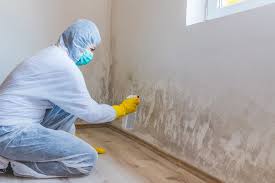 Mold Remediation for Vacation Homes in Howe, TX