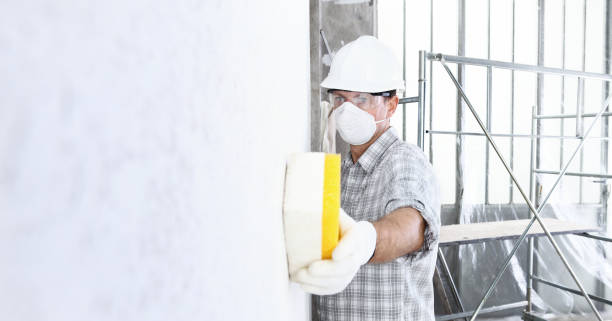 Why You Should Choose Our Mold Remediation Services in Howe, TX