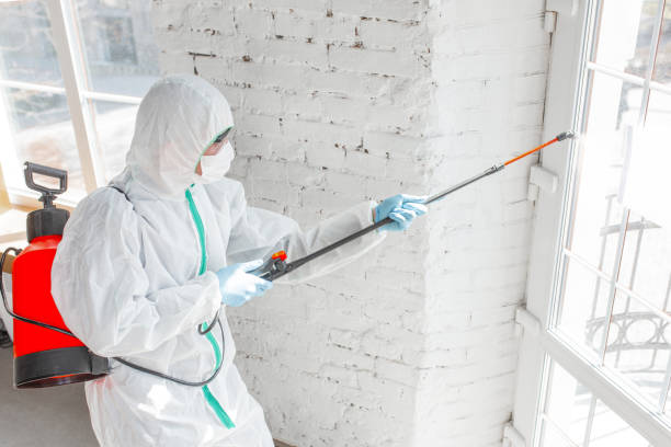 Best Asbestos and Lead Testing During Mold Inspection  in Howe, TX